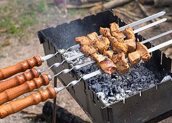 В Госдуме захотели запретить мангалы