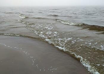На берег Черного моря вынесло загадочную боеголовку