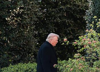 Страны Персидского залива разозлились на Трампа