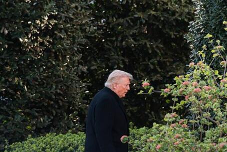 Страны Персидского залива разозлились на Трампа