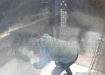 Лифт с человеком внутри подбросило при экстренном торможении в российском городе