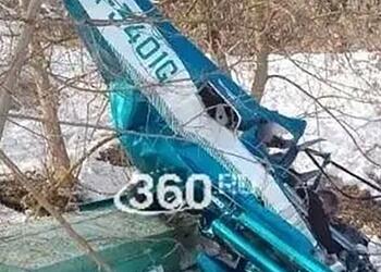 Появилось видео с места крушения самолета под Москвой
