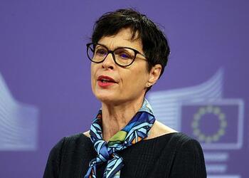 В ЕС оценили вероятность вступления Украины в 2027 году