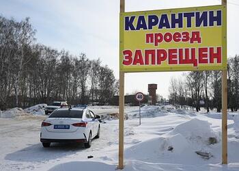 Пострадавшим от забоя скота новосибирским фермерам выделили 200 миллионов рублей