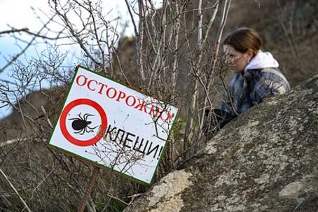 Названы регионы России с самым большим числом клещей