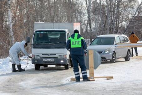 Названа причина вспышек пастереллеза у скота в Новосибирской области