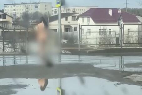 Стала известна личность прогулявшейся по улице голой и возмутившей соседей россиянки