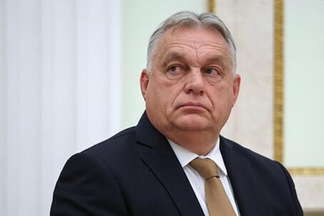 Украину заподозрили в сговоре против Венгрии